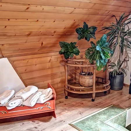Rum i privatbostad Karpinskich Zakopane