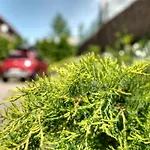 Karpinskich Séjour chez l'habitant *