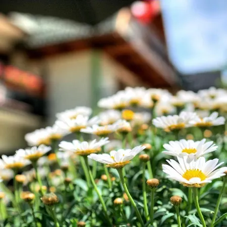 Homestay Karpinskich Zakopane